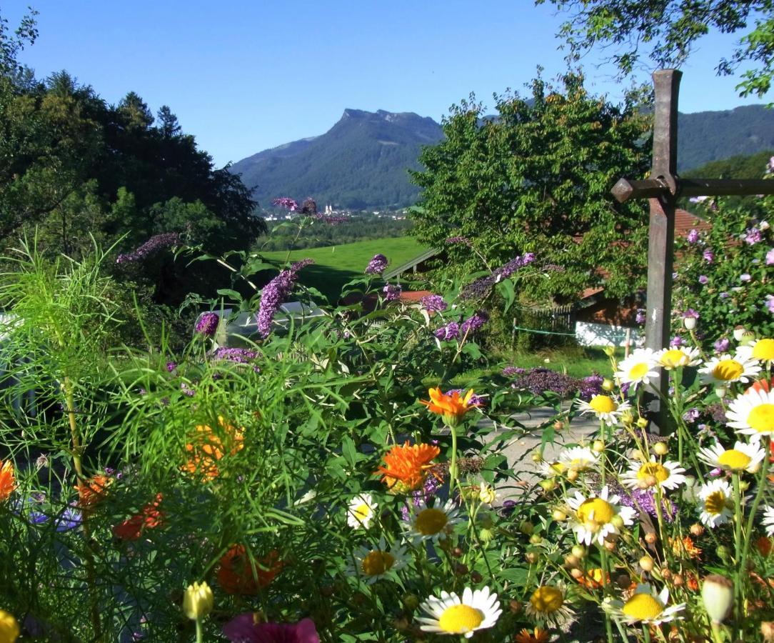 Ferienwohnung Szuahaeusl อัสเชา อิม คีมเกา ภายนอก รูปภาพ